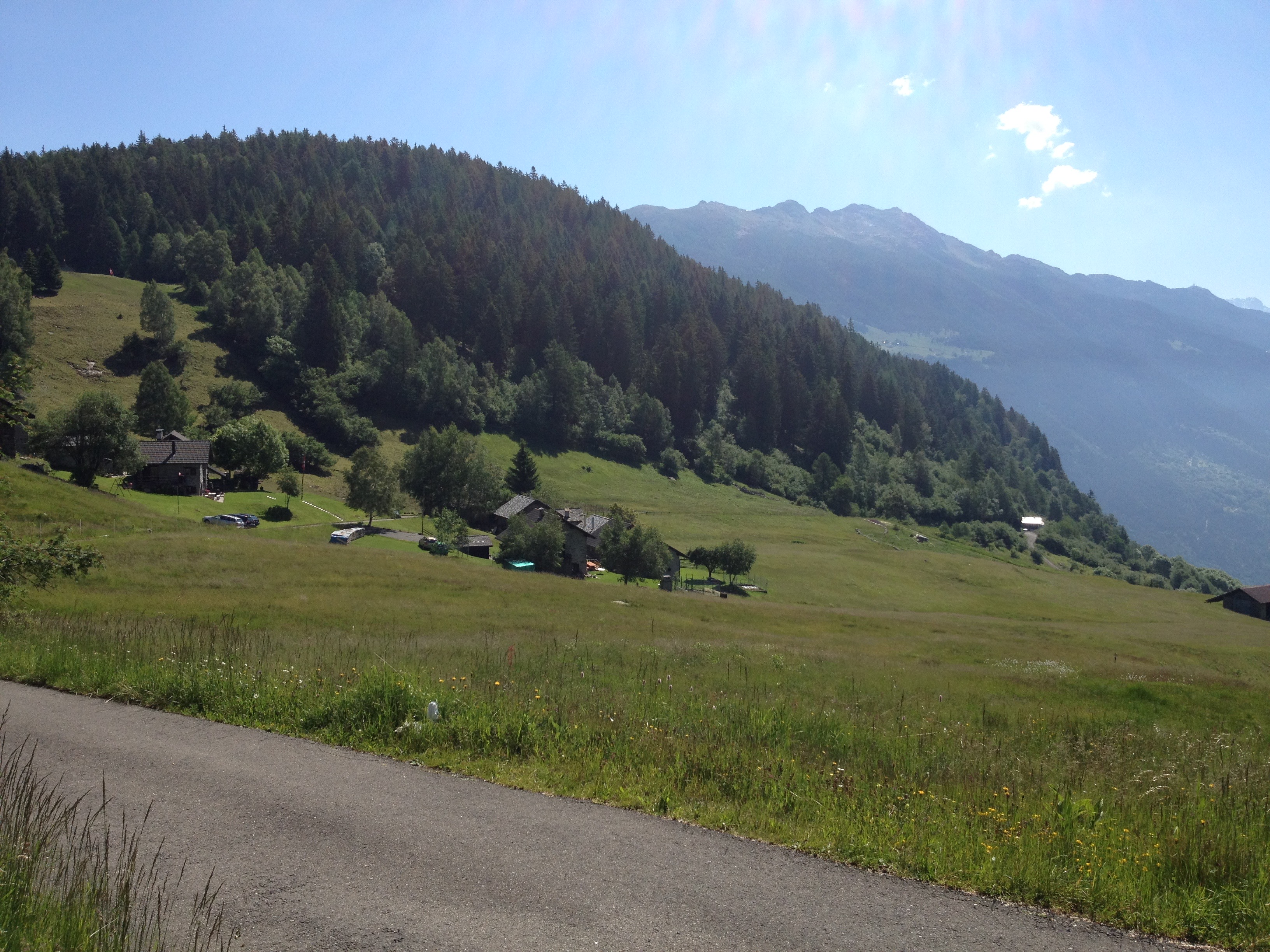 Gribbio summer meadows