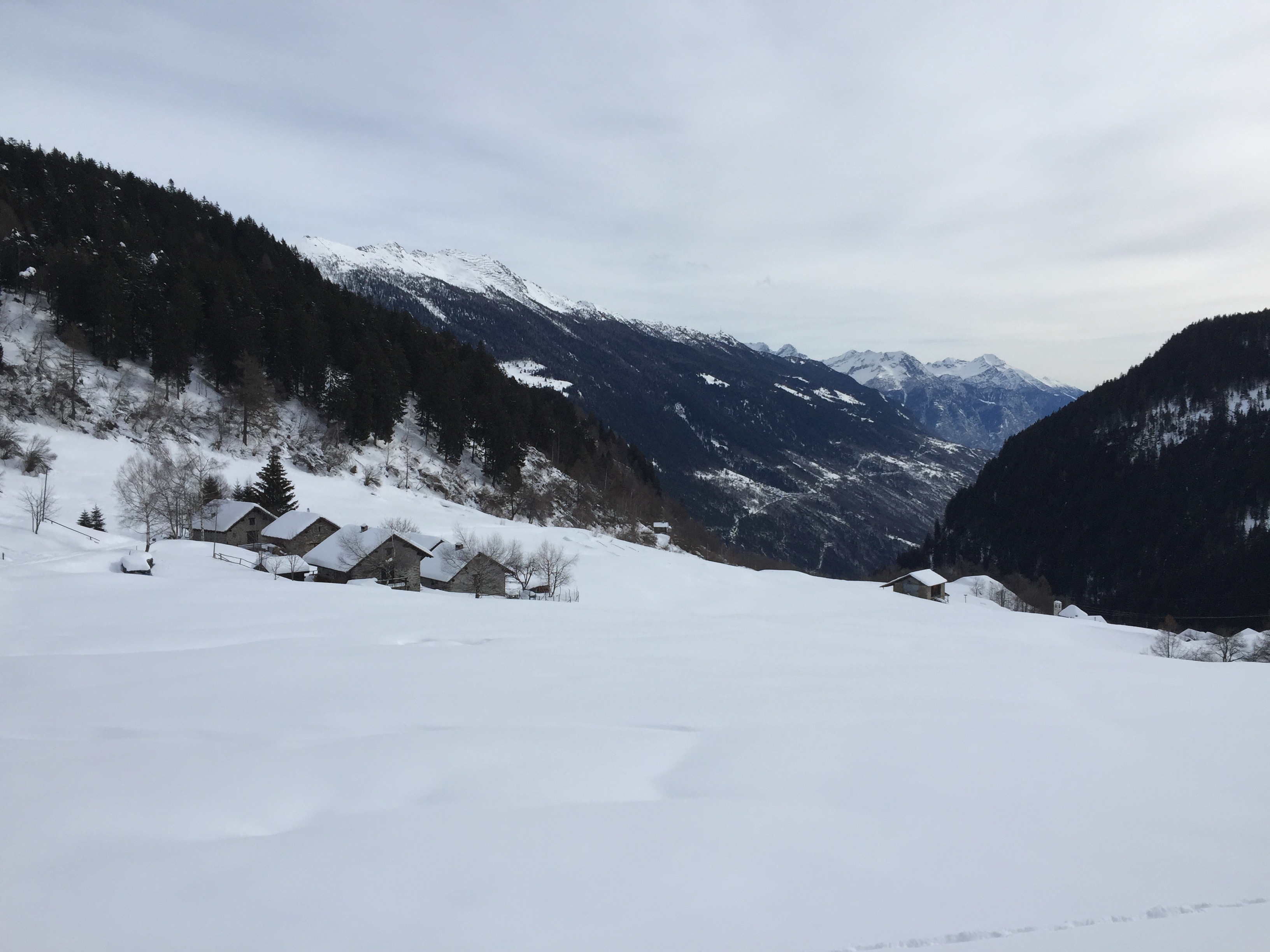 Gribbio valley winter panorama