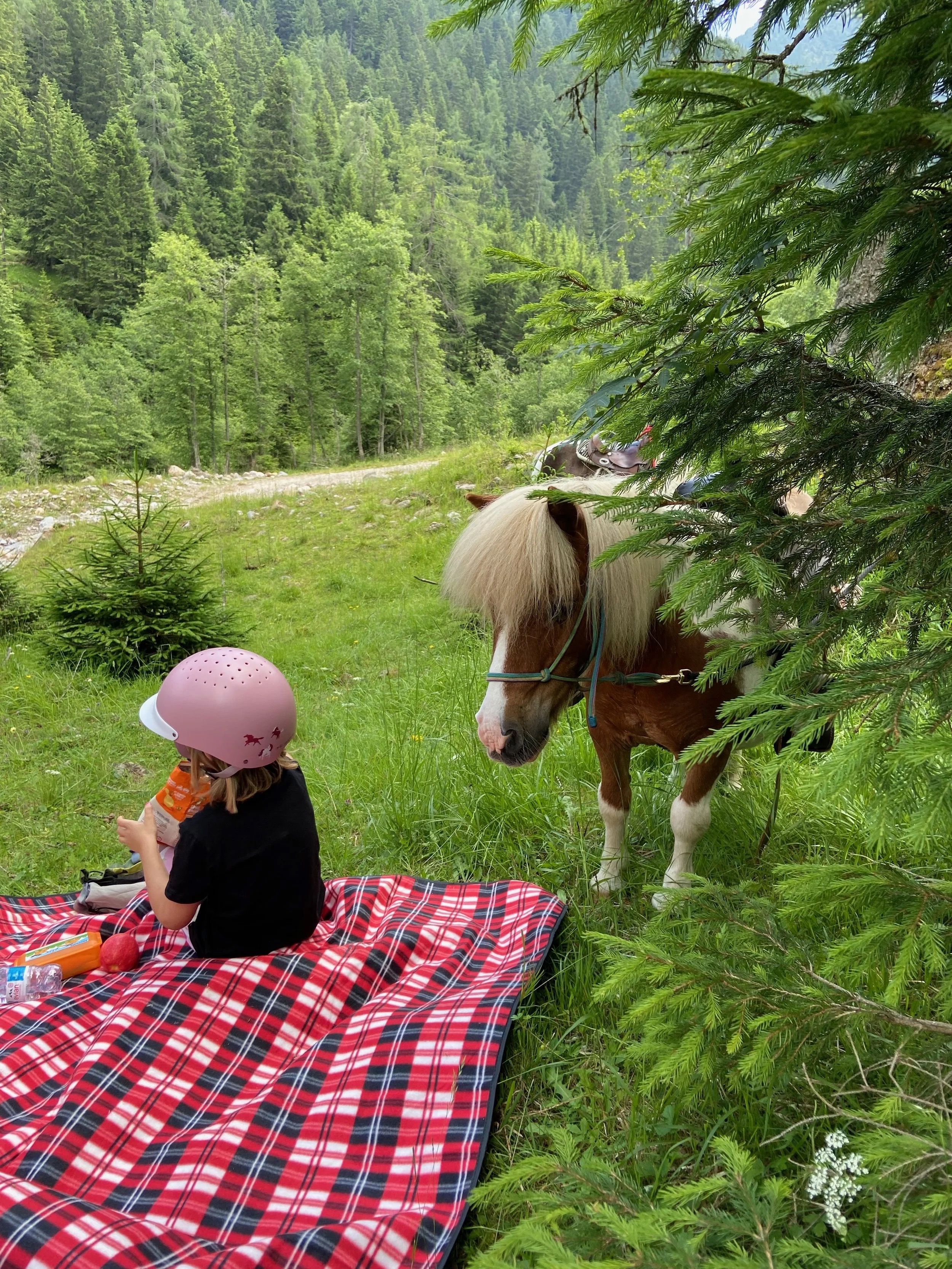 HorseWay equestrian center