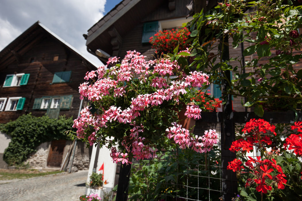 Strada Alta in the Leventina Valley